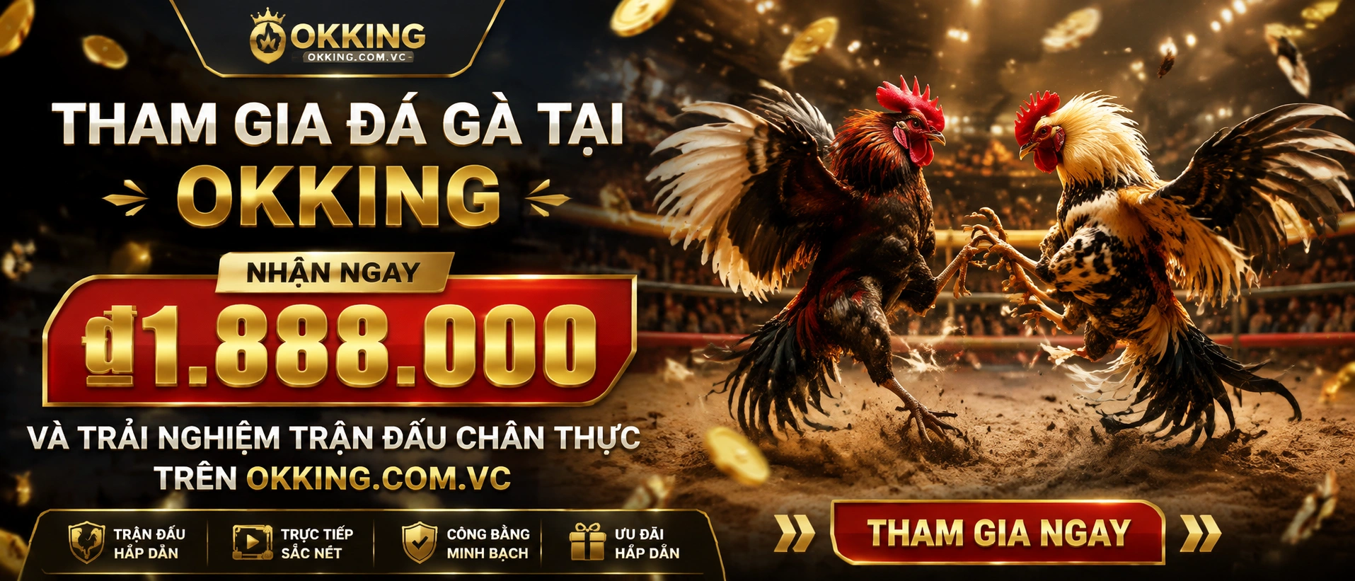 Danh mục Đá Gà Campuchia với bố cục rõ trên OKKING